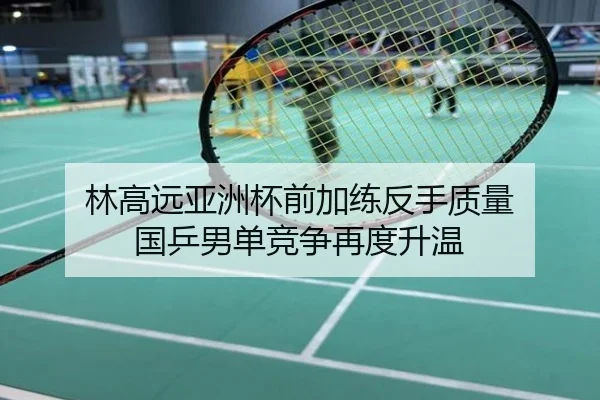 林高远亚洲杯前加练反手质量 国乒男单竞争再度升温
