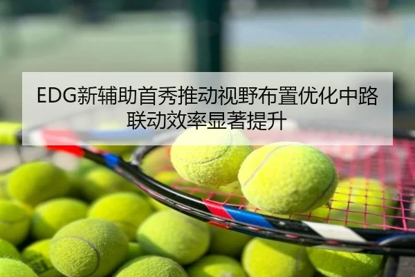 EDG新辅助首秀推动视野布置优化中路联动效率显著提升