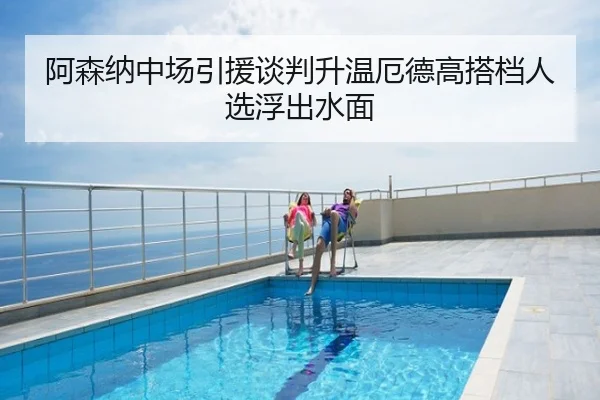 阿森纳中场引援谈判升温厄德高搭档人选浮出水面