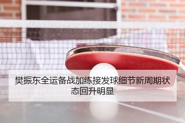 樊振东全运备战加练接发球细节新周期状态回升明显
