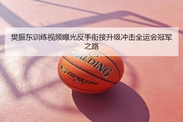 樊振东训练视频曝光反手衔接升级冲击全运会冠军之路