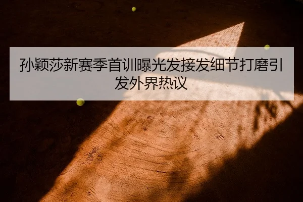 孙颖莎新赛季首训曝光发接发细节打磨引发外界热议