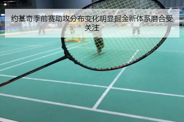 约基奇季前赛助攻分布变化明显掘金新体系磨合受关注